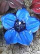Бусины стеклянные лэмпворк (lampwork) Орхидея средняя синяя