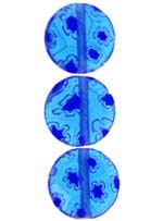 Бусины стеклянные миллефиори (millefiori) 10 мм, круглые голубые