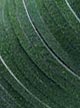Шнур замшевый натуральный, 3 мм, зеленый
